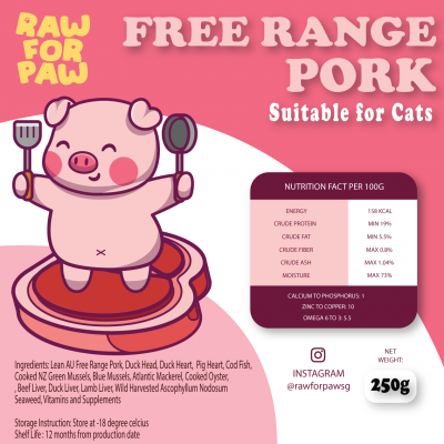 Raw Food for Adult Cat - Free Range Pork