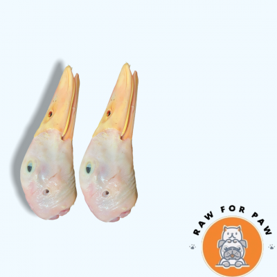 Fresh Frozen Duck Head
