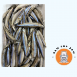 Silver-stripe round herring (Kibinago)