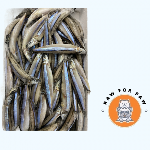 Silver-stripe round herring (Kibinago)