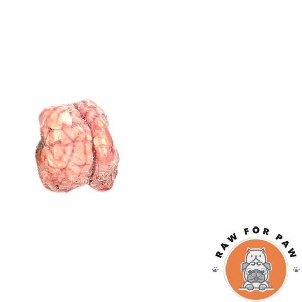 Lamb Brain
