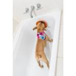 LICKIMAT SPLASH Bowl