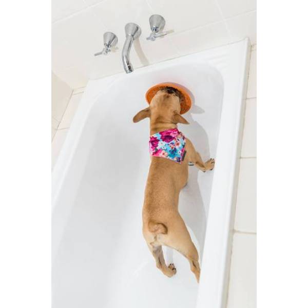 LICKIMAT SPLASH Bowl