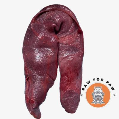 Free Range Pig Spleen