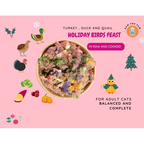 Holiday Birds Feast - For Cats