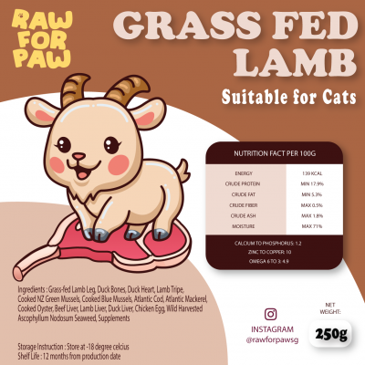 Raw Food for Adult Cat - Grass-Fed Lamb