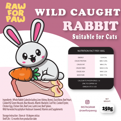 Raw Food for Adult Cat - Wild Caught Rabbit