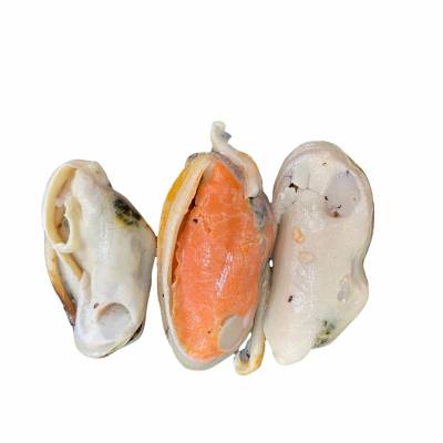Green Lipped Mussels Meat