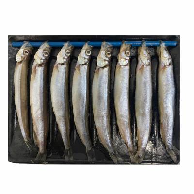 Shishamo(Capelin)