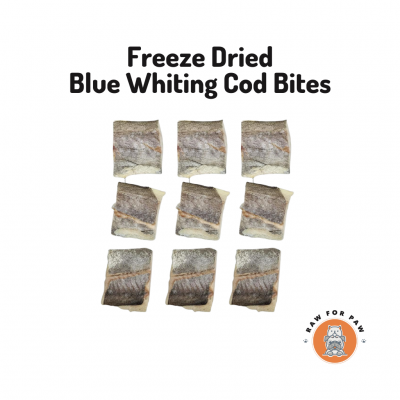 Freeze Dried Blue Whiting Cod Bites