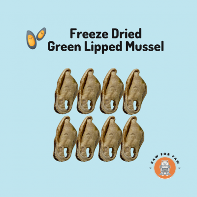 Freeze Dried Green Lipped Mussel
