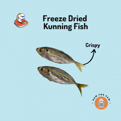 Freeze Dried Kunning Fish