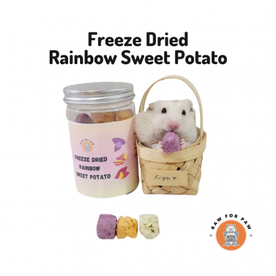 Freeze Dried Rainbow Sweet Potato