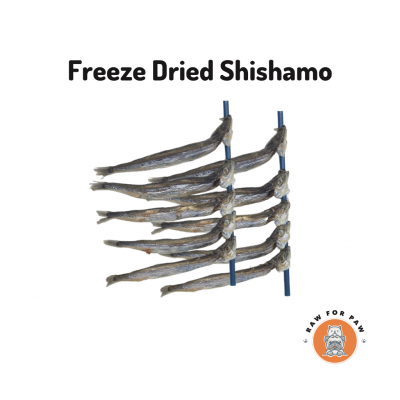Freeze Dried Shishamo
