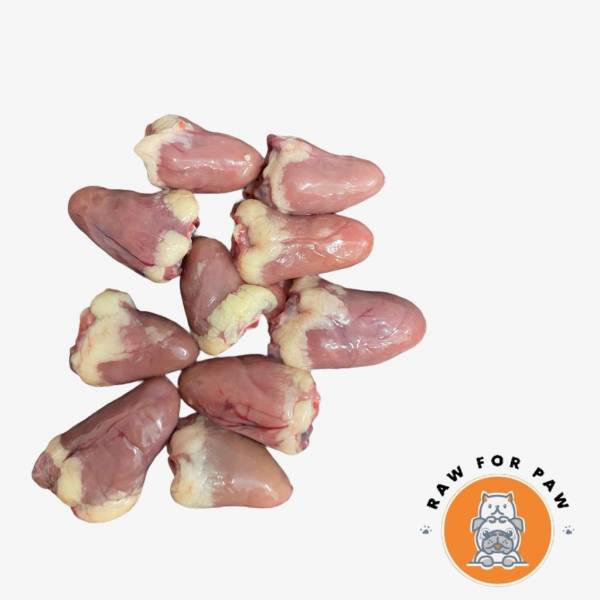Chicken Heart