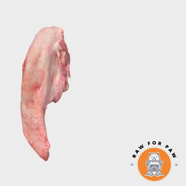 Freshly Frozen Pig Tongue